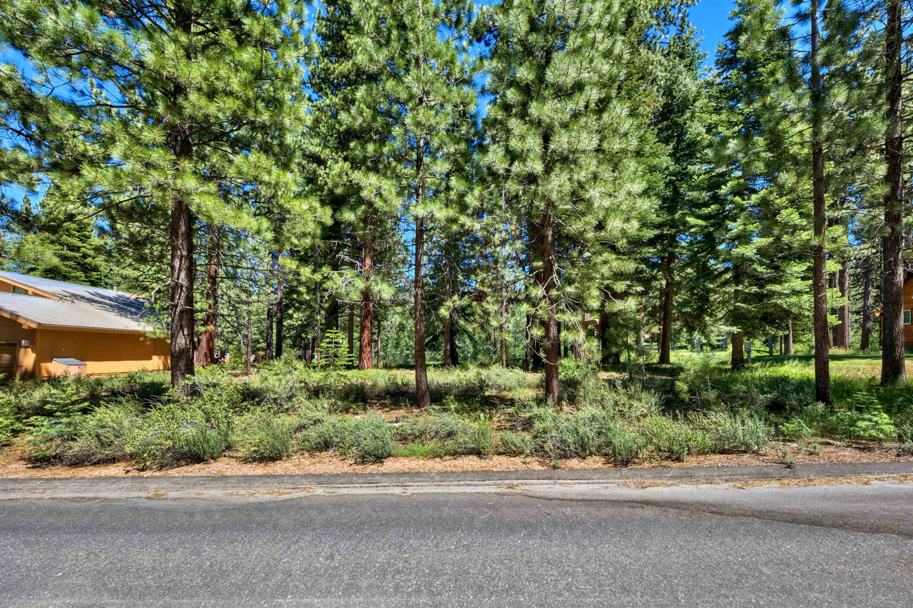 415 Lodgepole Truckee, CA 96161 - Photo 8 of 21 a backyard of a house with a tree