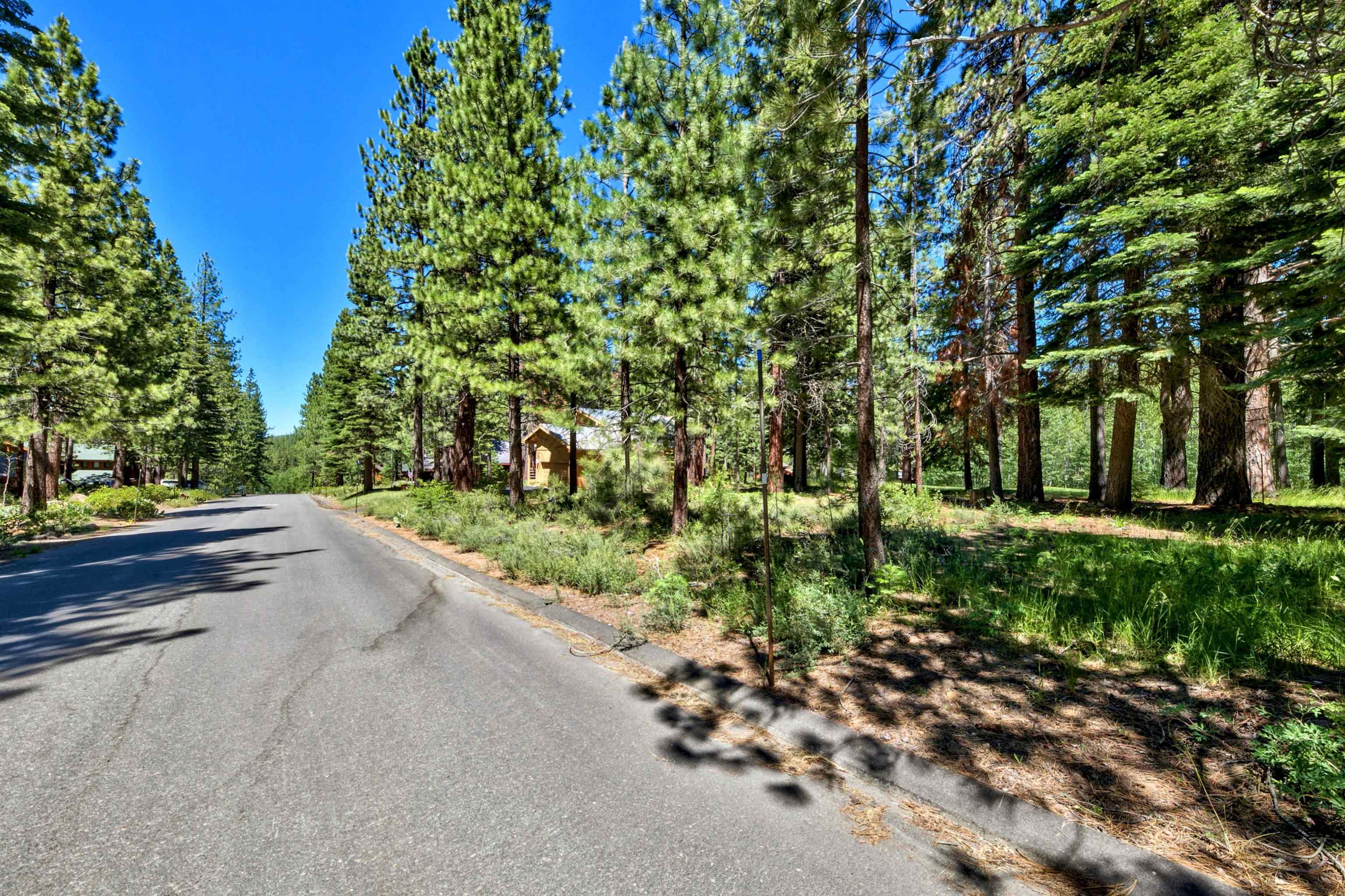 415 Lodgepole Truckee, CA 96161 - Photo 9 of 21 a view of a street with a tree