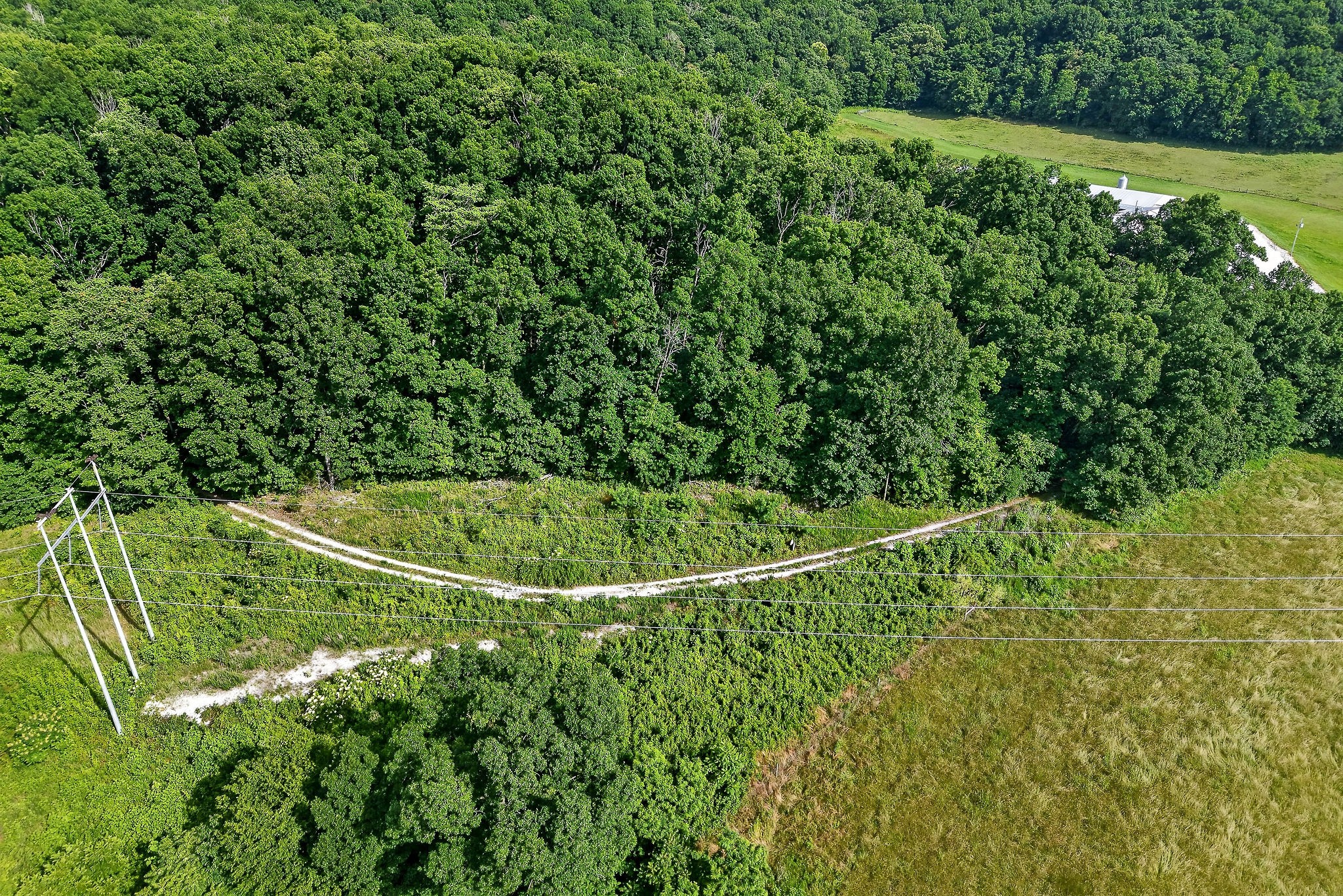 0 Moore Cove Road Sparta, TN 38583 - Photo 7 of 19