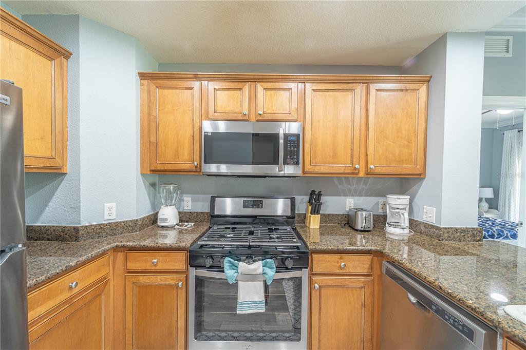 7673 Heritage Crossing Way, Unit 101 Reunion, FL 34747 - Photo 14 of 42