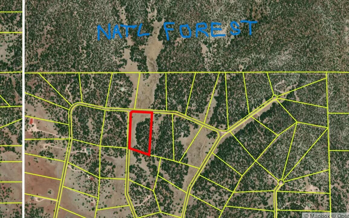 Lot 5 Copperweed Road Ramah, NM 87321 - Photo 3 of 88 Gallery Image 3