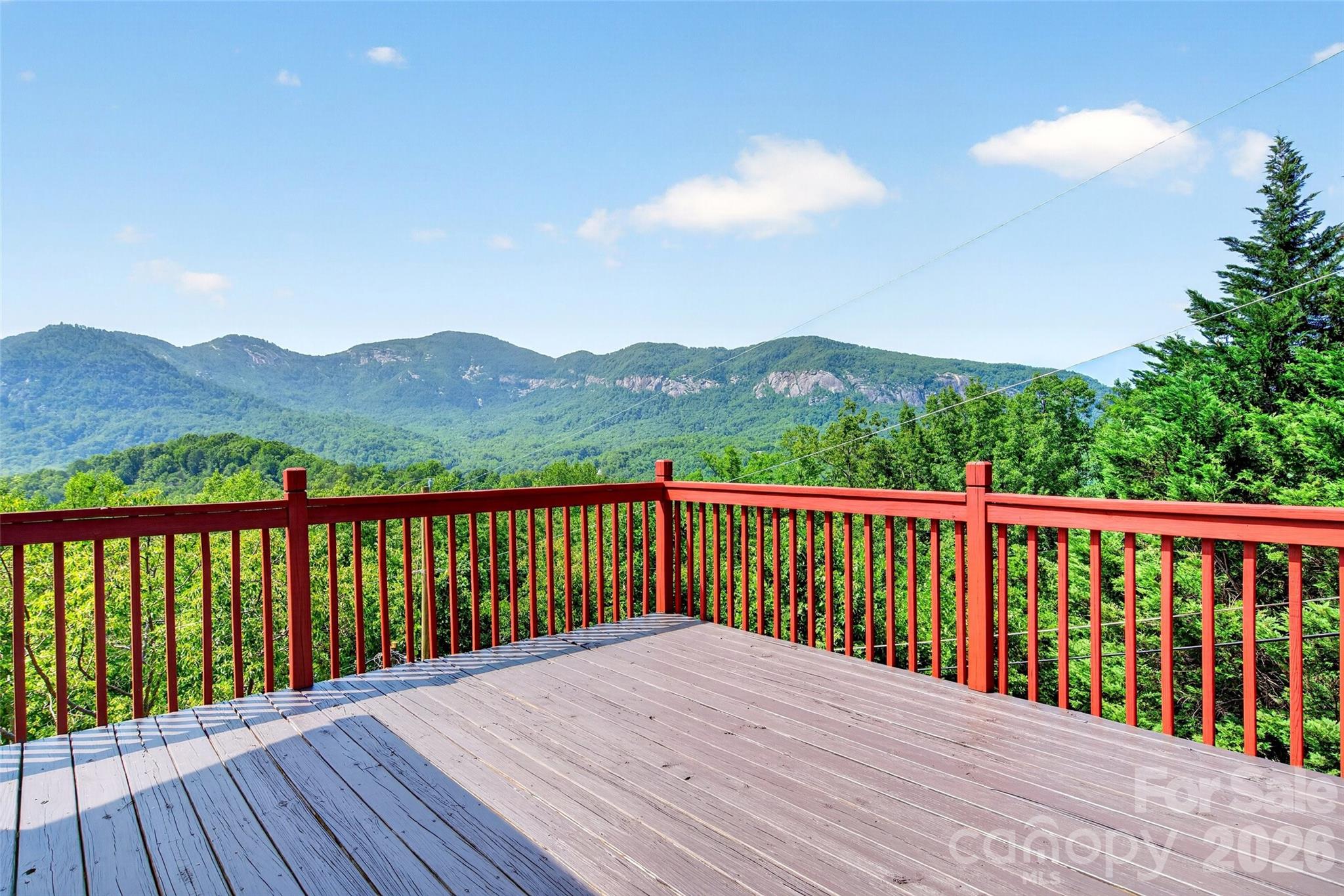 227 Sidney Lanier Road Lake Lure, NC 28746 - Photo 5 of 48