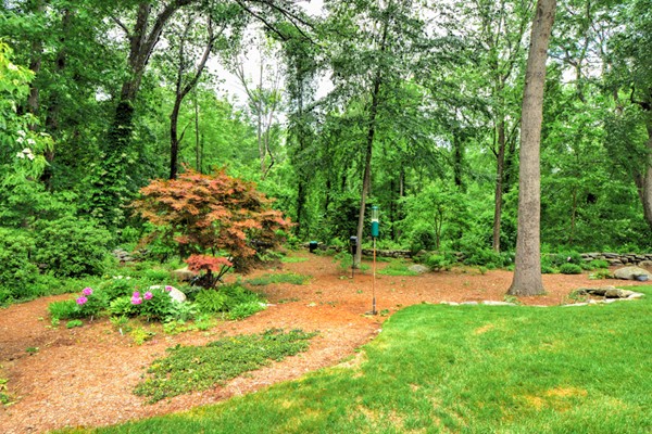 99 Stow Road, Unit 99 Boxborough, MA 01719 - Photo 24 of 27 a view of a yard with a tree