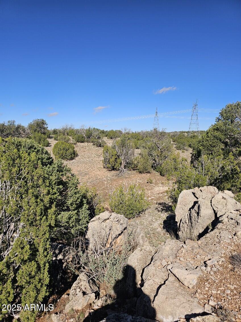 Tbd Tbd Chevelon Acres Heber, AZ 85928 - Photo 12 of 20 a view of a yard
