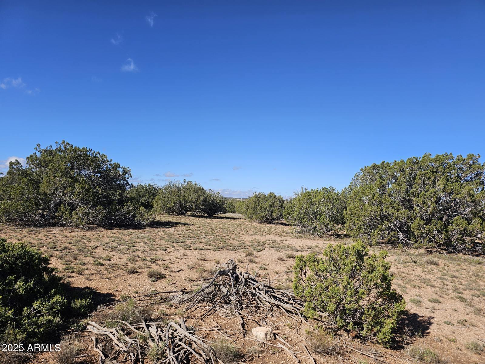 Tbd Tbd Chevelon Acres Heber, AZ 85928 - Photo 13 of 20 a view of a field with a tree in the background