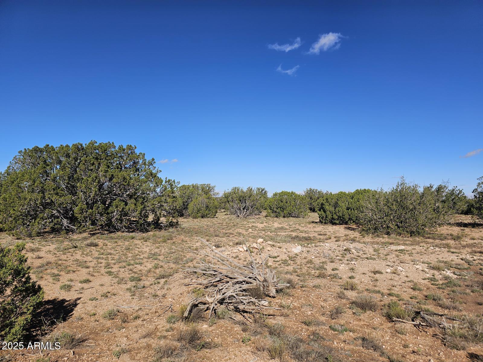 Tbd Tbd Chevelon Acres Heber, AZ 85928 - Photo 15 of 20 a view of a field with a tree in the background