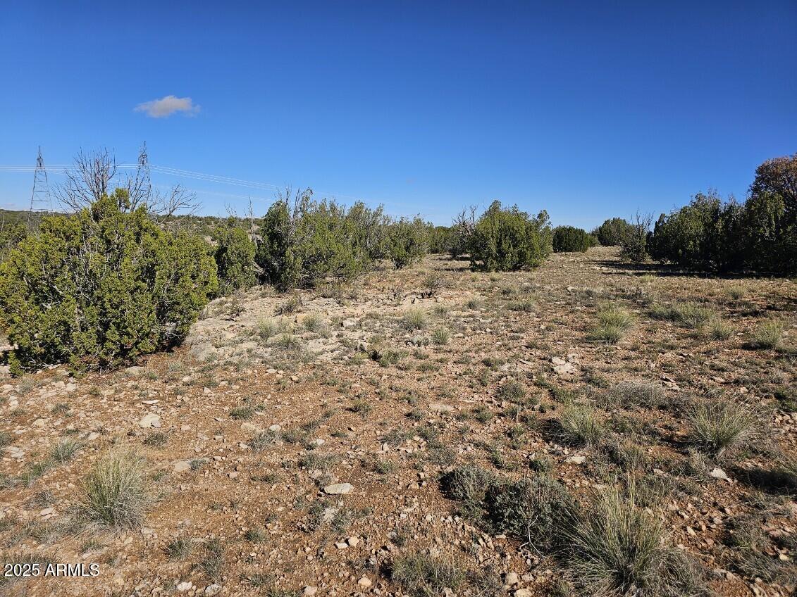 Tbd Tbd Chevelon Acres Heber, AZ 85928 - Photo 18 of 20 a view of a dry yard with trees