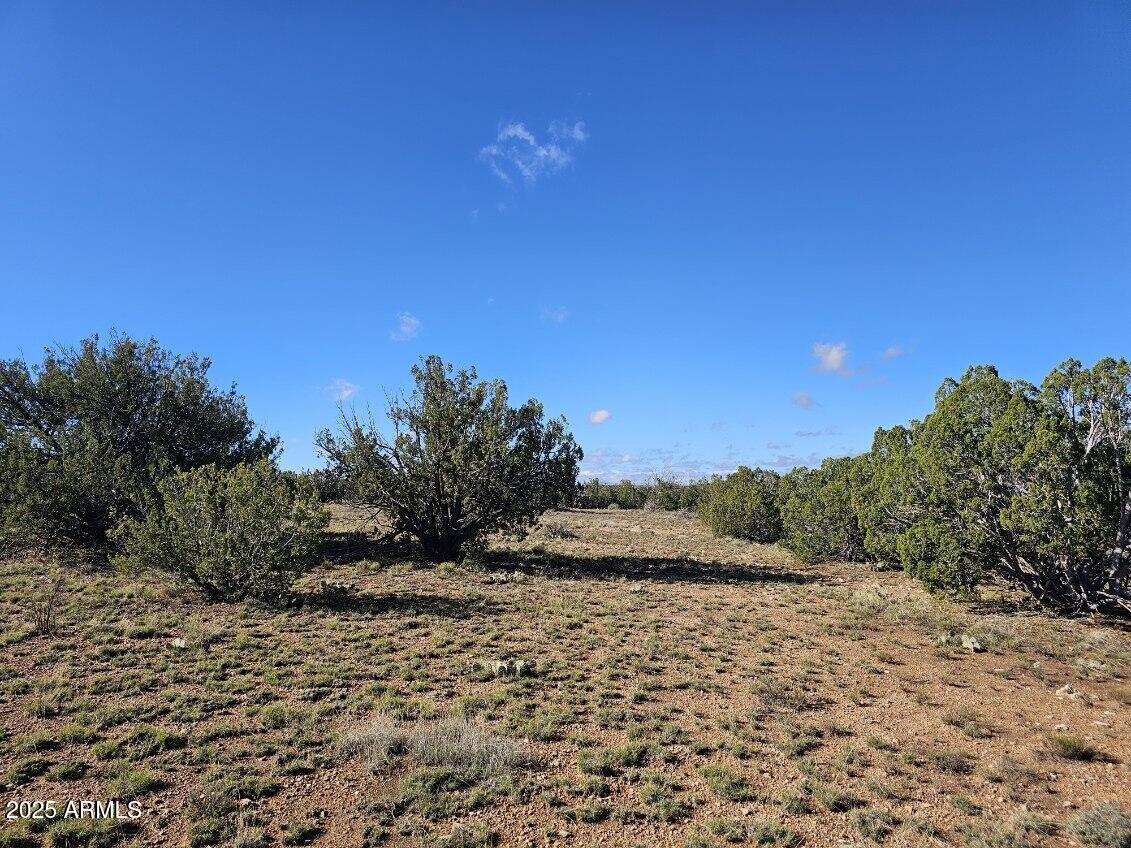 Tbd Tbd Chevelon Acres Heber, AZ 85928 - Photo 20 of 20