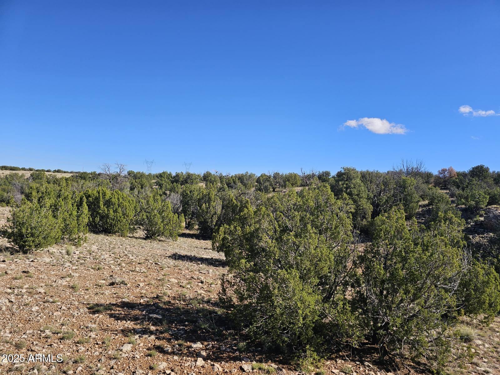Tbd Tbd Chevelon Acres Heber, AZ 85928 - Photo 5 of 20 a view of a forest with trees in the background