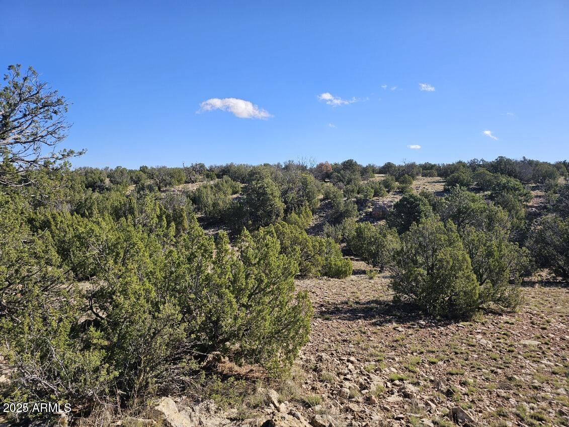 Tbd Tbd Chevelon Acres Heber, AZ 85928 - Photo 6 of 20 a view of a city with lush green forest