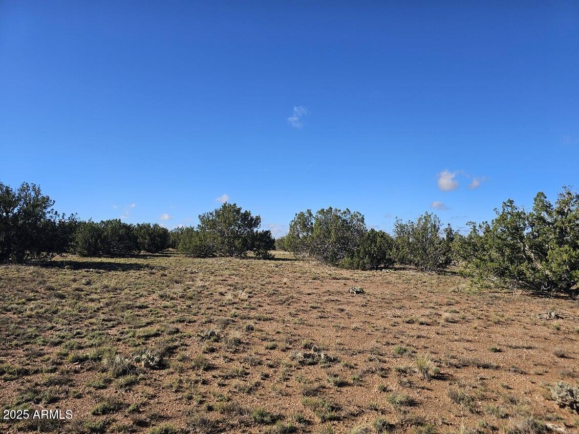 Tbd Tbd Chevelon Acres Heber, AZ 85928 - Photo 7 of 20 a view of a lake view