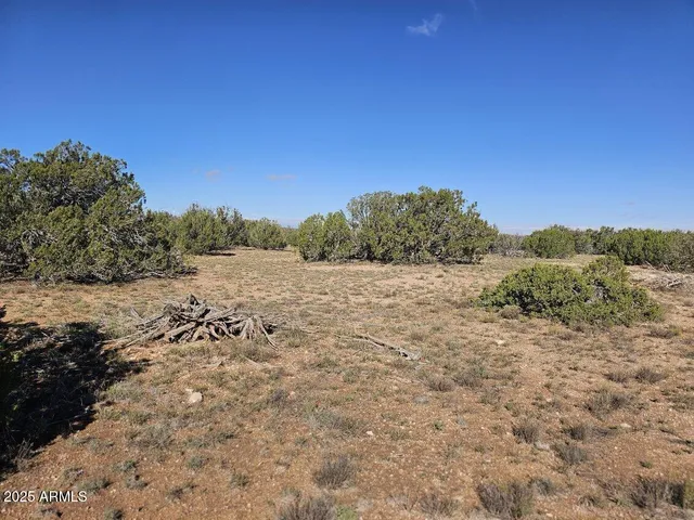 $25,000 | Tbd Tbd Chevelon Acres, Heber, AZ 85928