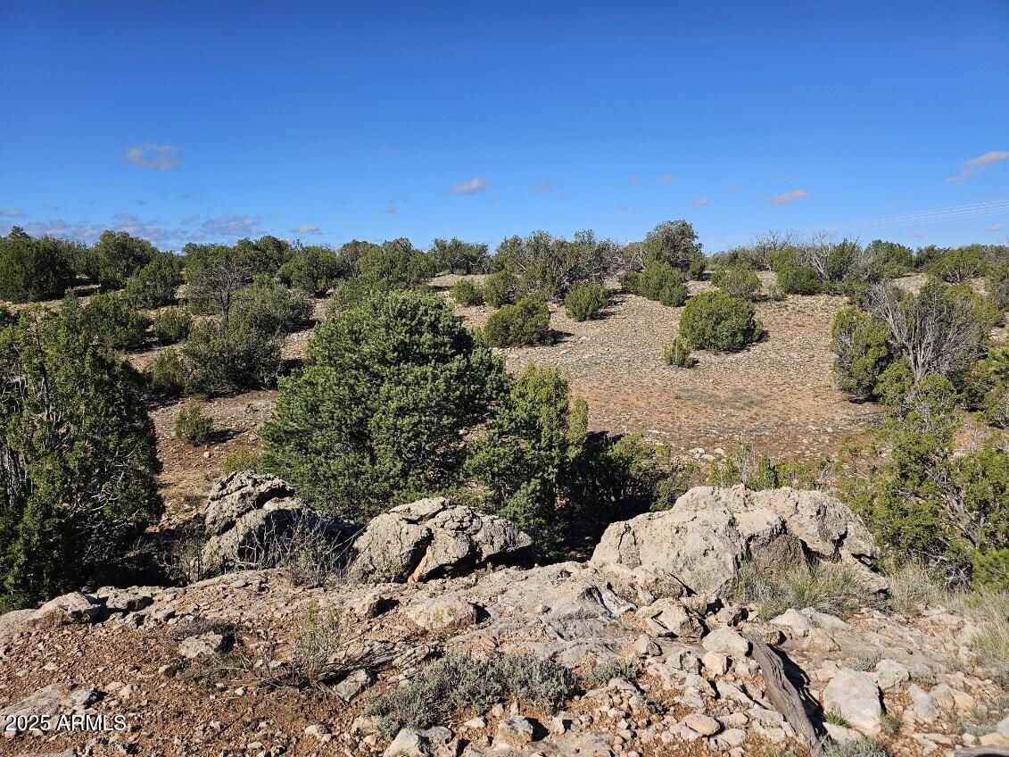 Tbd Tbd Chevelon Acres Heber, AZ 85928 - Photo 9 of 20 a view of a backyard of a house