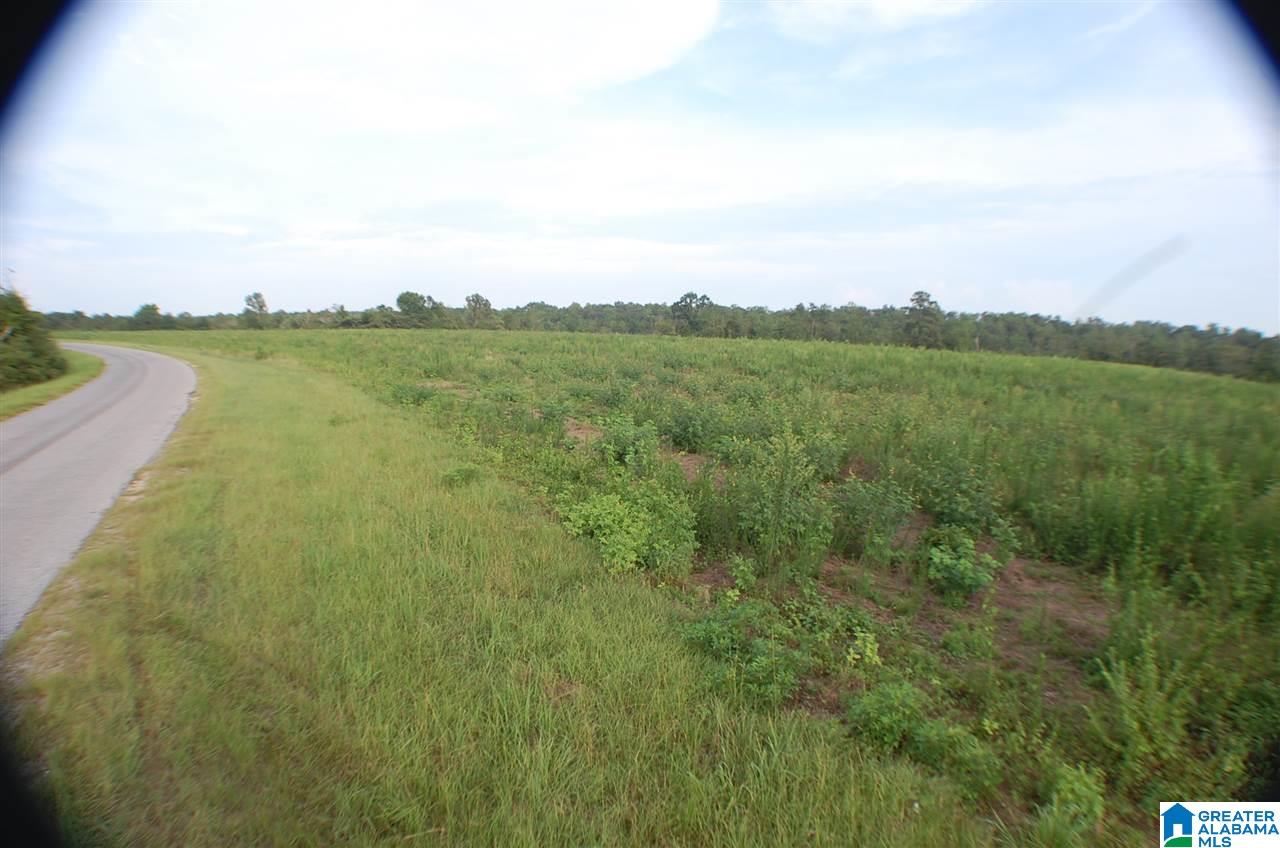 16 County Road, Unit 90 Maplesville, AL 36750 - Photo 11 of 15
