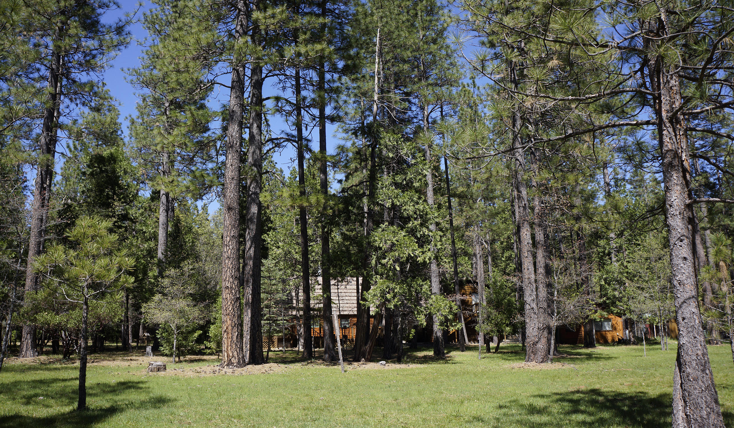 6798 Wilson Hill Road Shingletown, CA 96088 - Photo 8 of 65 Gorgeous Mountain Retreat