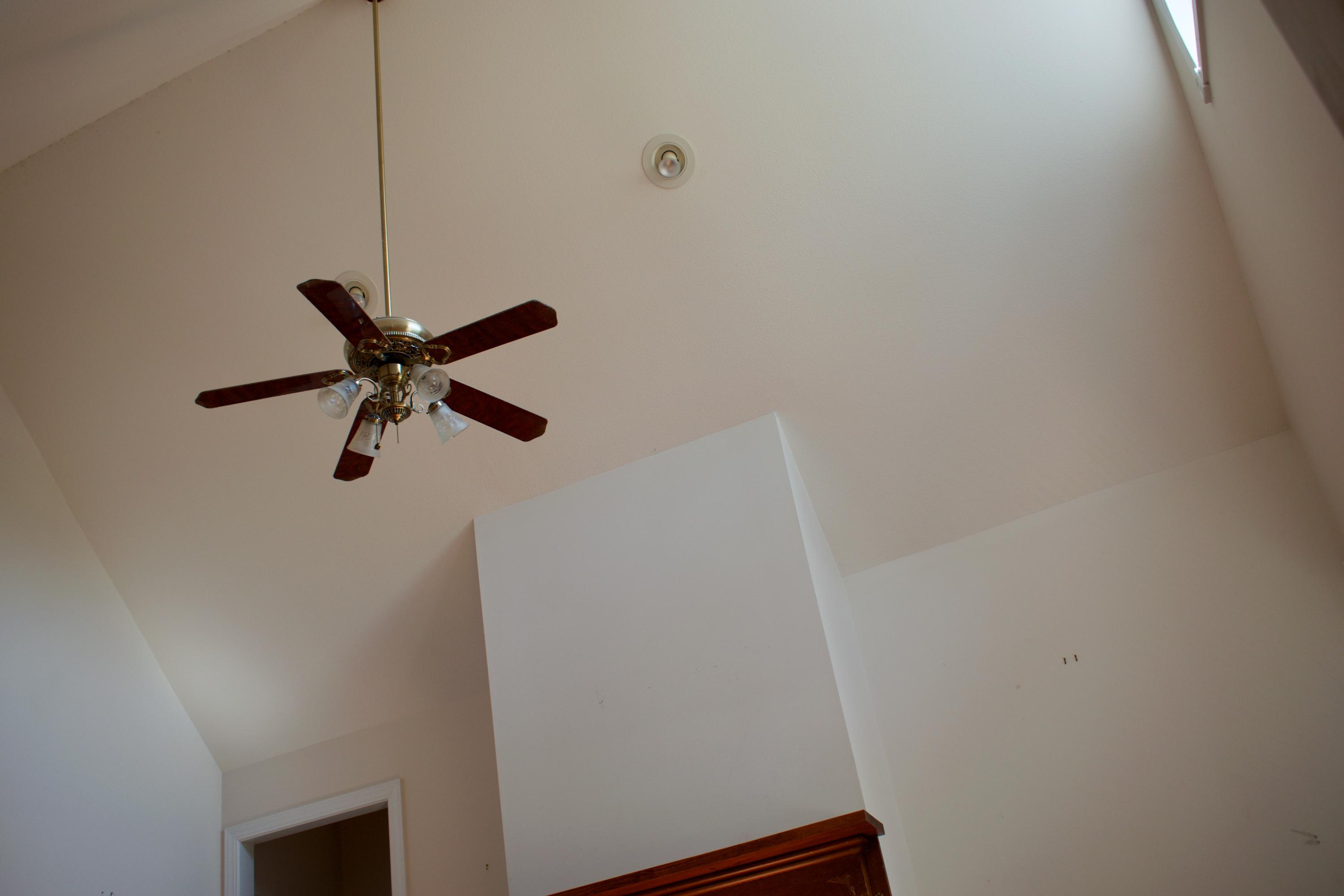 761 Bollweevil Road Blackville, SC 29817 - Photo 12 of 51 DSC_0010