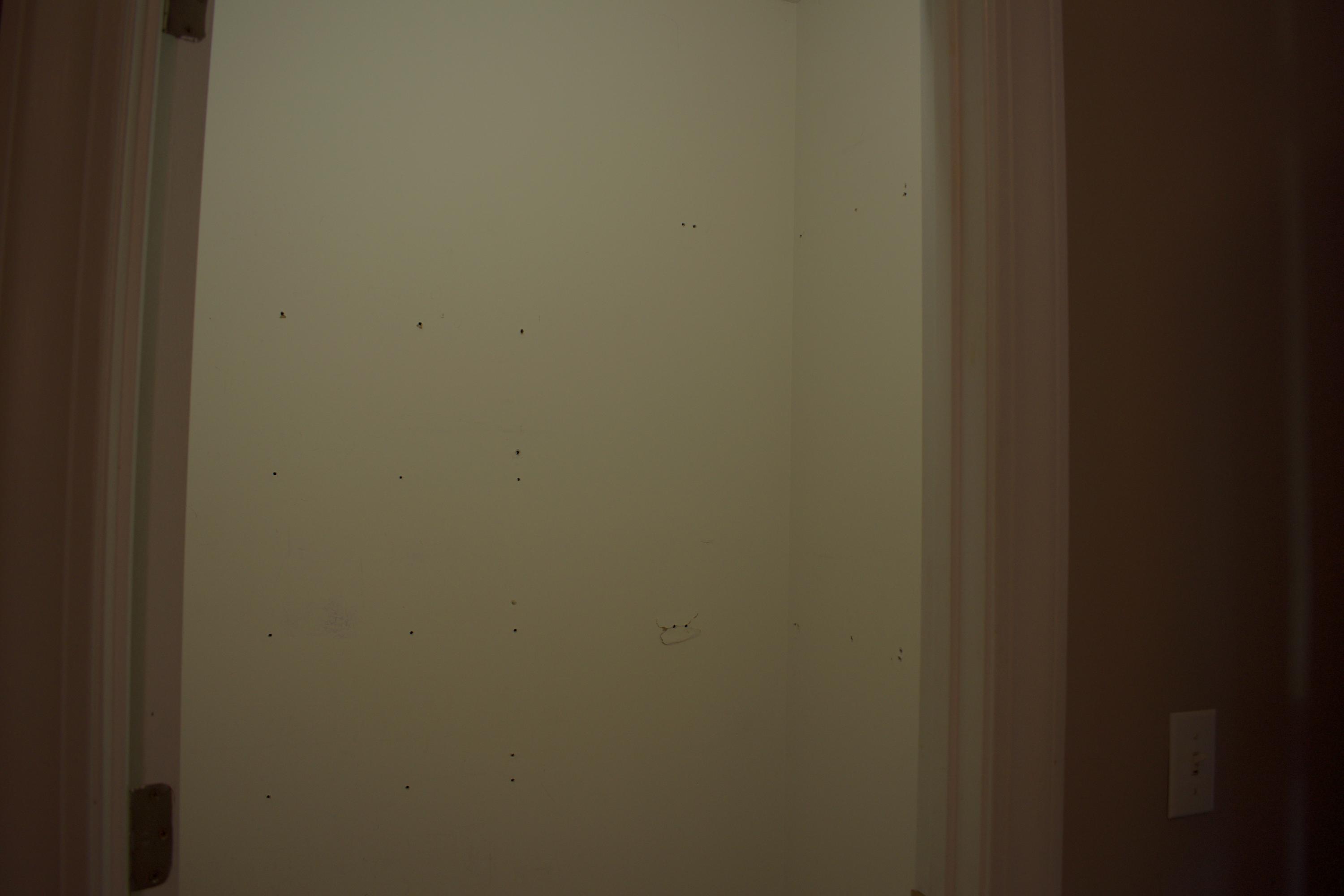 761 Bollweevil Road Blackville, SC 29817 - Photo 33 of 51 DSC_0042