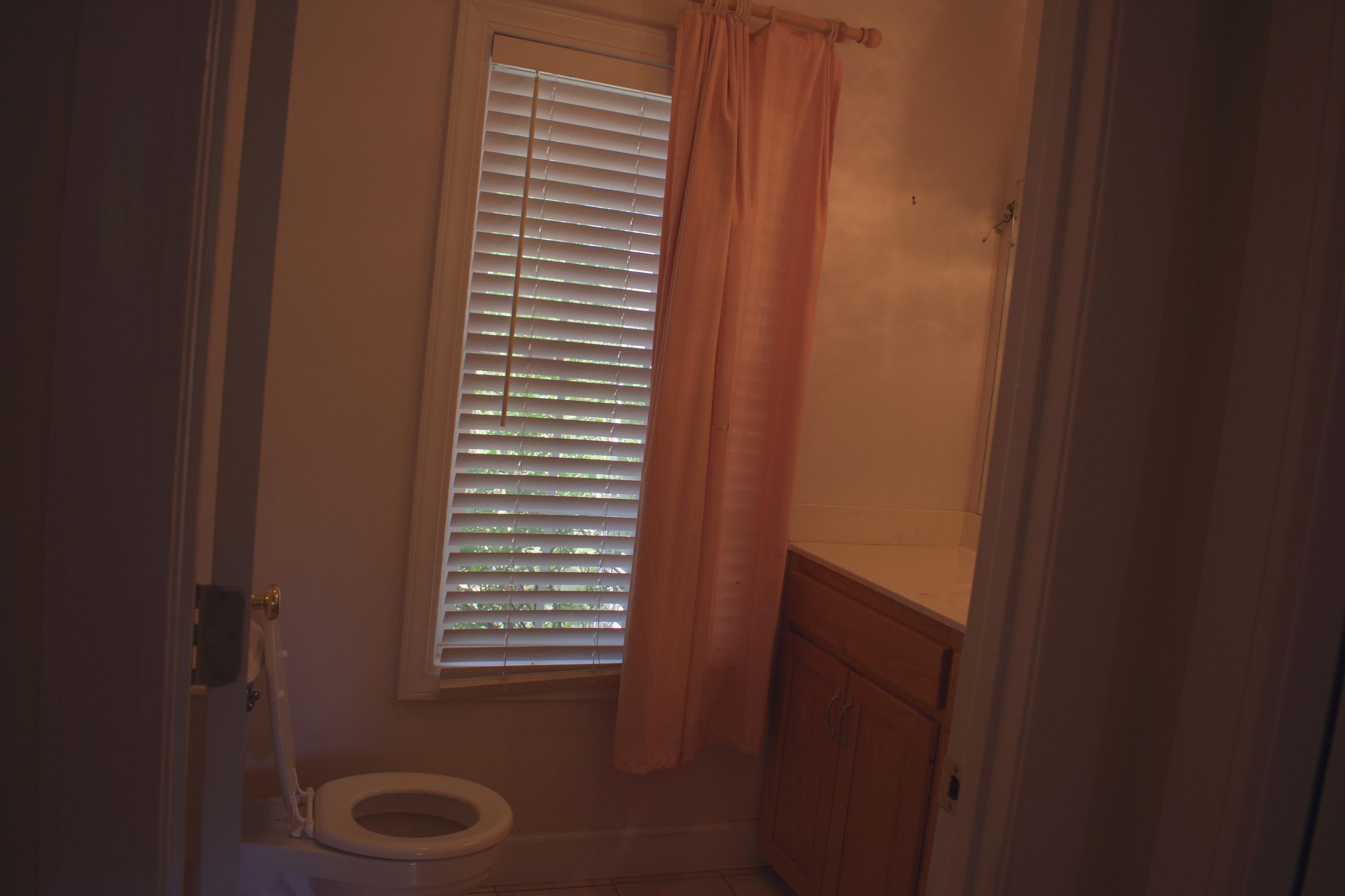 761 Bollweevil Road Blackville, SC 29817 - Photo 36 of 51 DSC_0047