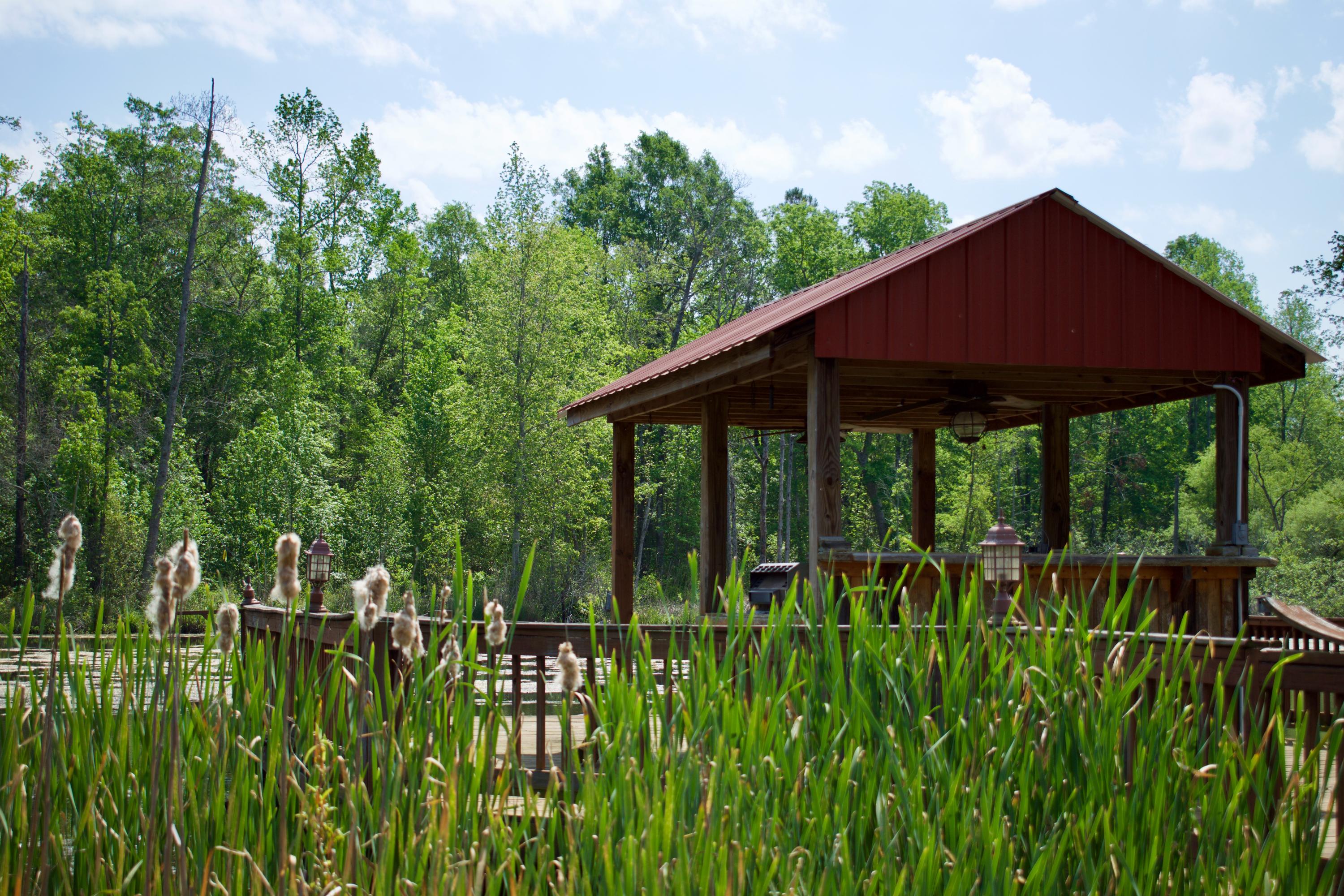 761 Bollweevil Road Blackville, SC 29817 - Photo 5 of 51 DSC_0062
