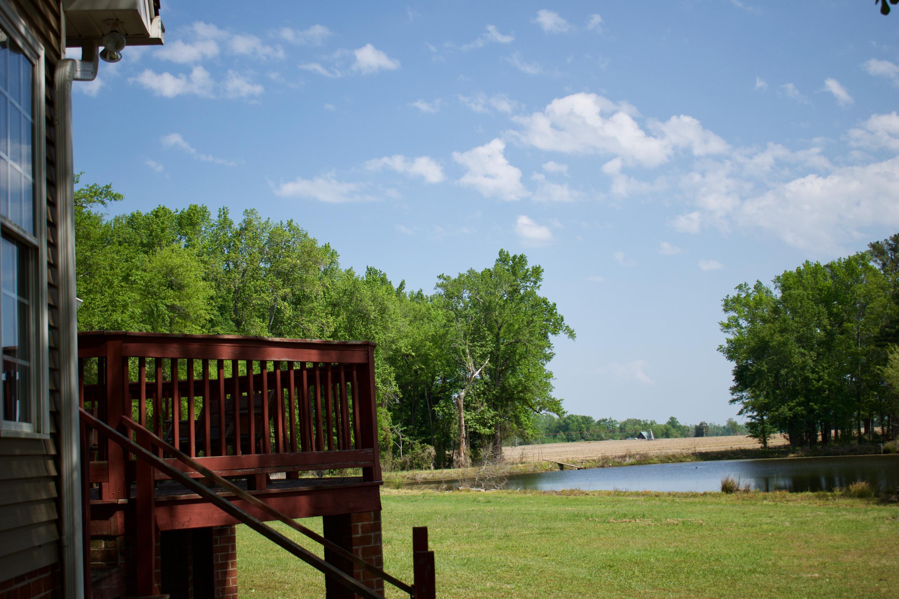 761 Bollweevil Road Blackville, SC 29817 - Photo 44 of 51 DSC_0080