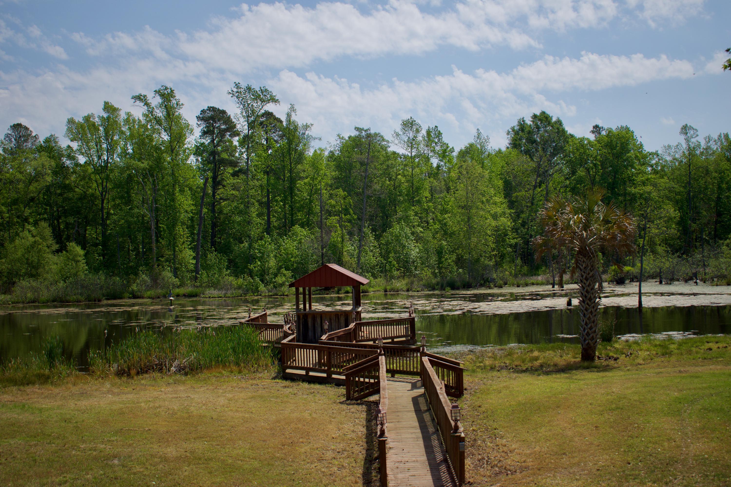 761 Bollweevil Road Blackville, SC 29817 - Photo 46 of 51 DSC_0066