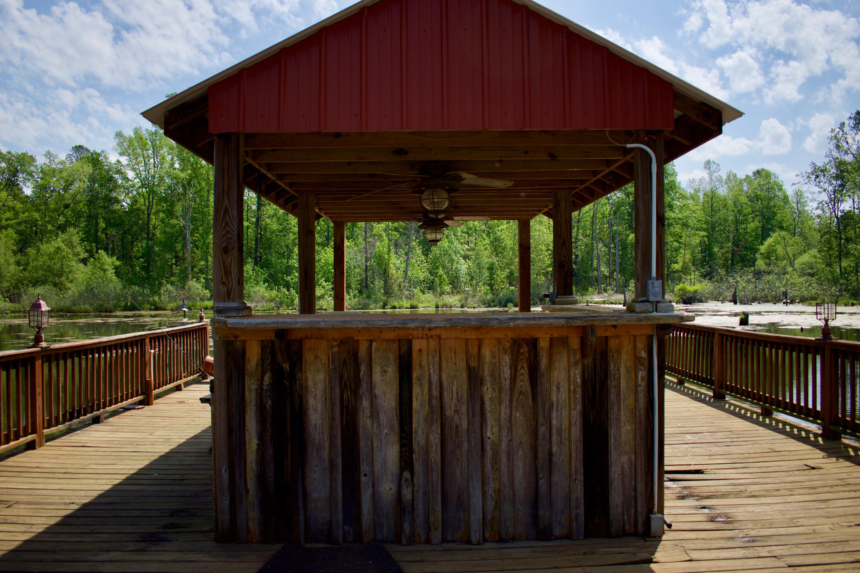 761 Bollweevil Road Blackville, SC 29817 - Photo 47 of 51 DSC_0068