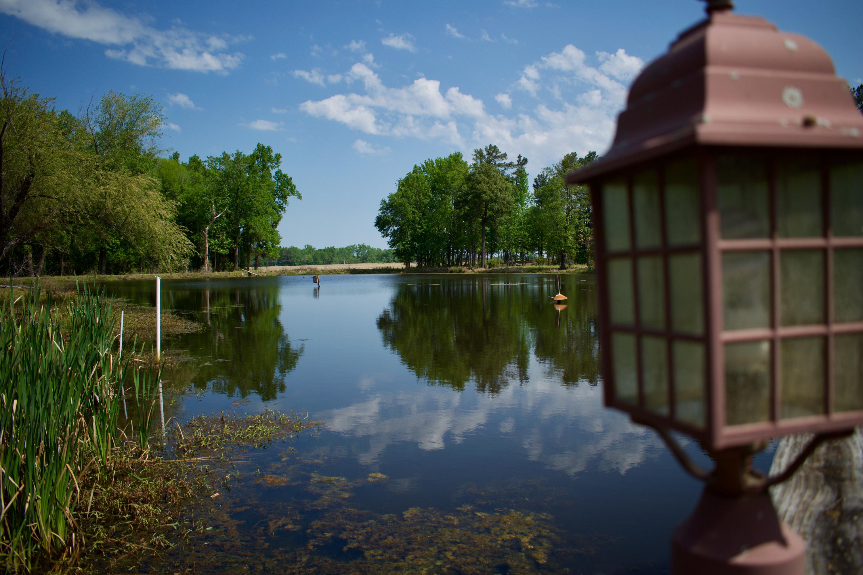 761 Bollweevil Road Blackville, SC 29817 - Photo 6 of 51 DSC_0069