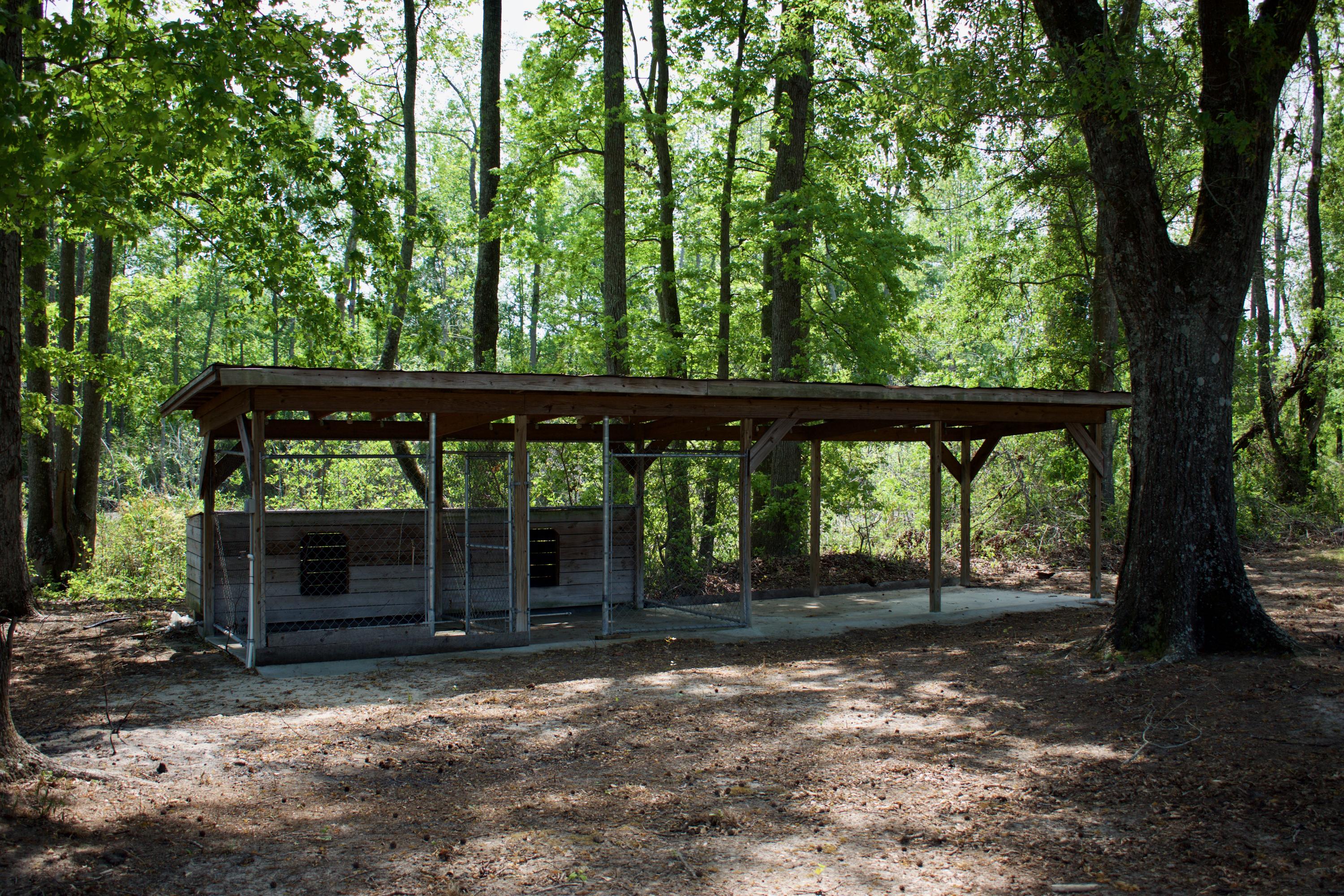 761 Bollweevil Road Blackville, SC 29817 - Photo 51 of 51 DSC_0087