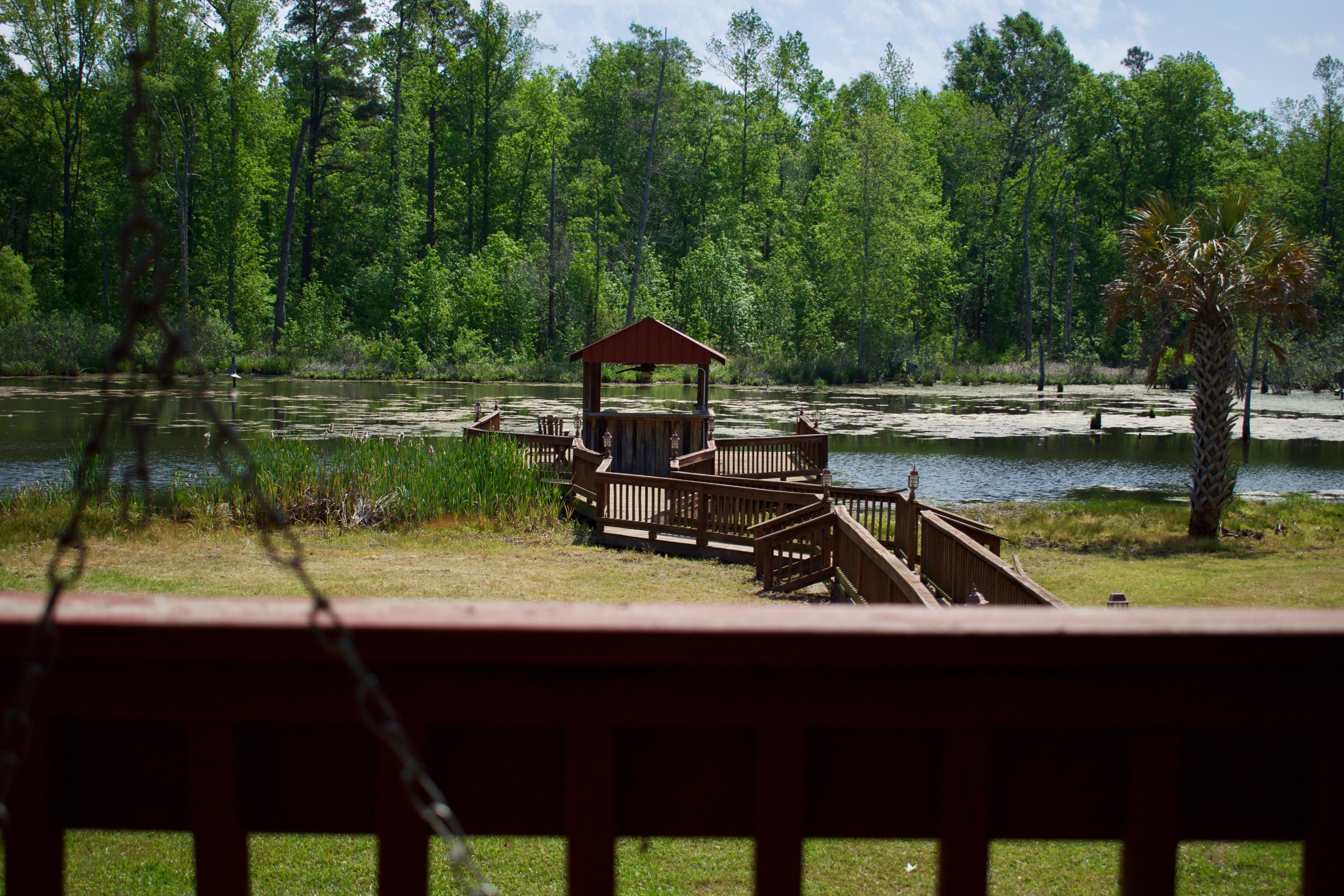 761 Bollweevil Road Blackville, SC 29817 - Photo 7 of 51 DSC_0078