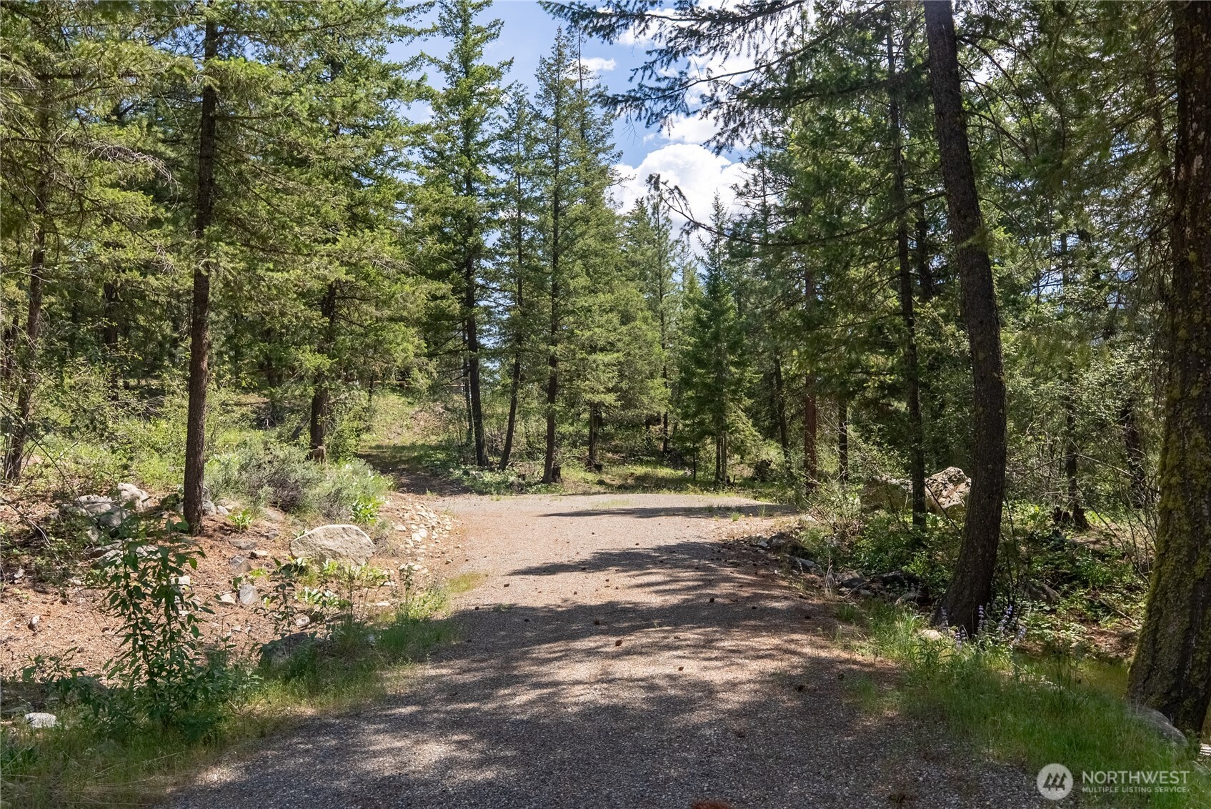 6 Homestead Road Winthrop, WA 98862 - Photo 26 of 40 a view of dirt yard with a large tree