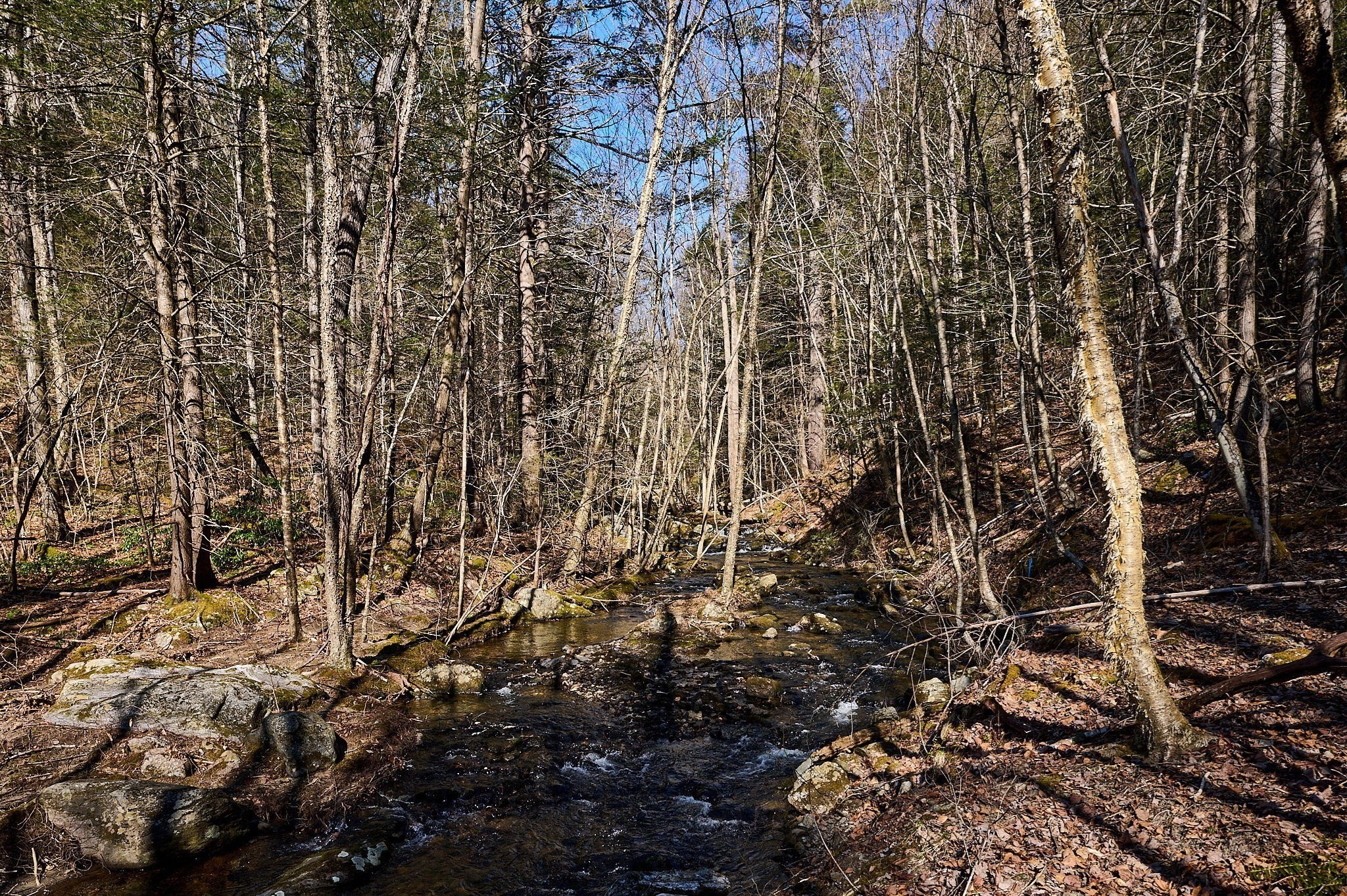 0 Pine Hill Road Russell, MA 01071 - Photo 10 of 15 Gallery Image 10