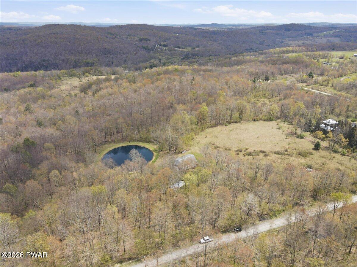 279 Rotten Road Equinunk, PA 18417 - Photo 71 of 80 Aerial View