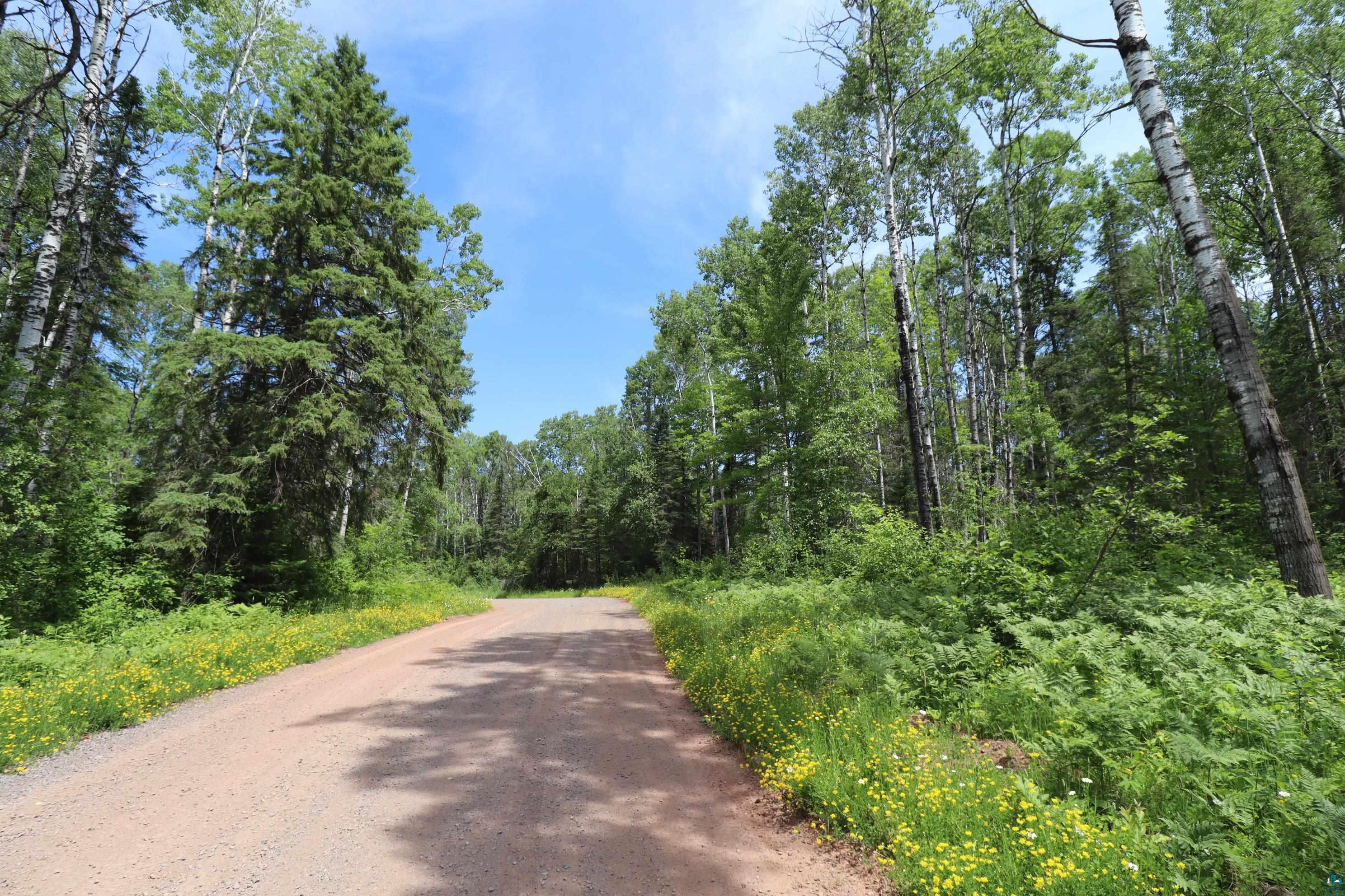 The Road Less Traveled