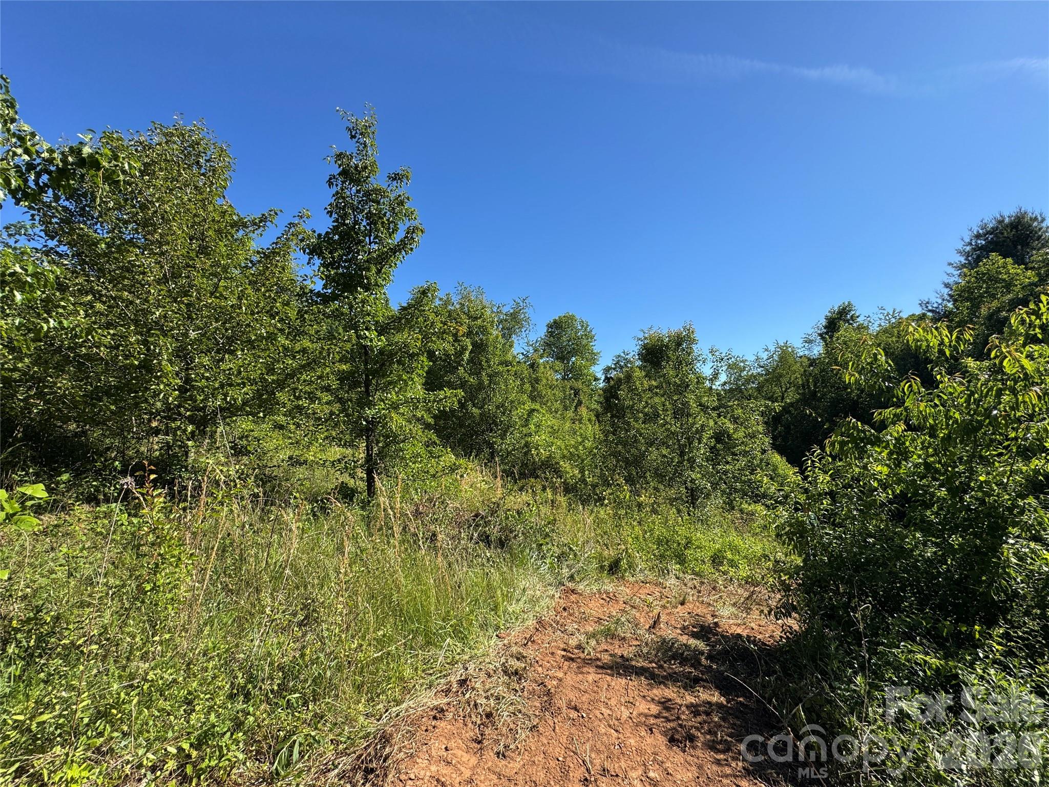 Tbd Duckett Road Candler, NC 28715 - Photo 2 of 17