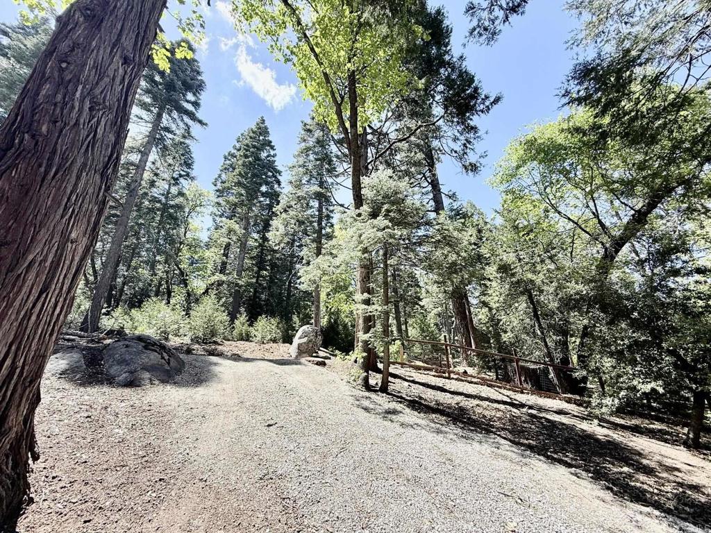 22292 Crestline Road Palomar Mountain, CA 92060 - Photo 38 of 38 a view of backyard space and trees