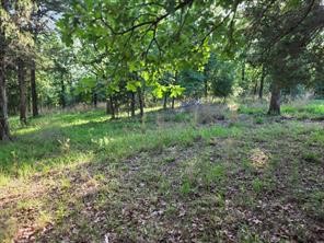 0 Timber Ridge Larue, TX 75770 - Photo 3 of 25