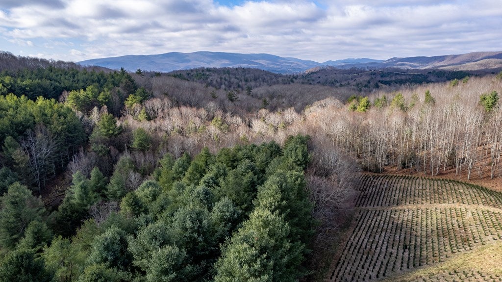 4601 Razor Ridge Road Troutdale, VA 24378 - Photo 38 of 38 Gallery Image 38