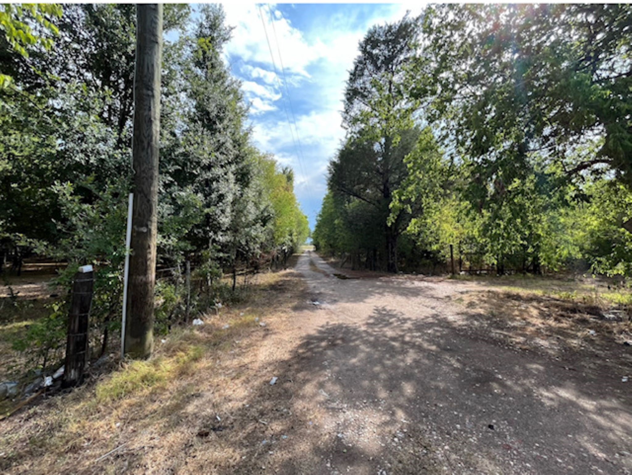 11712 FM 1458 Road Sealy, TX 77474 - Photo 1 of 13 a view of a forest with trees