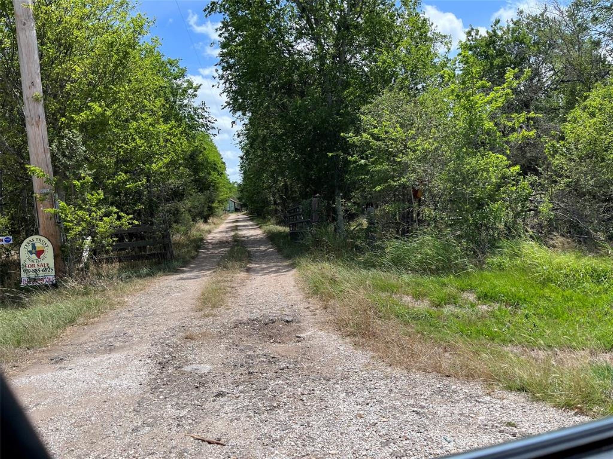 a view of a dirt road with trees in the background