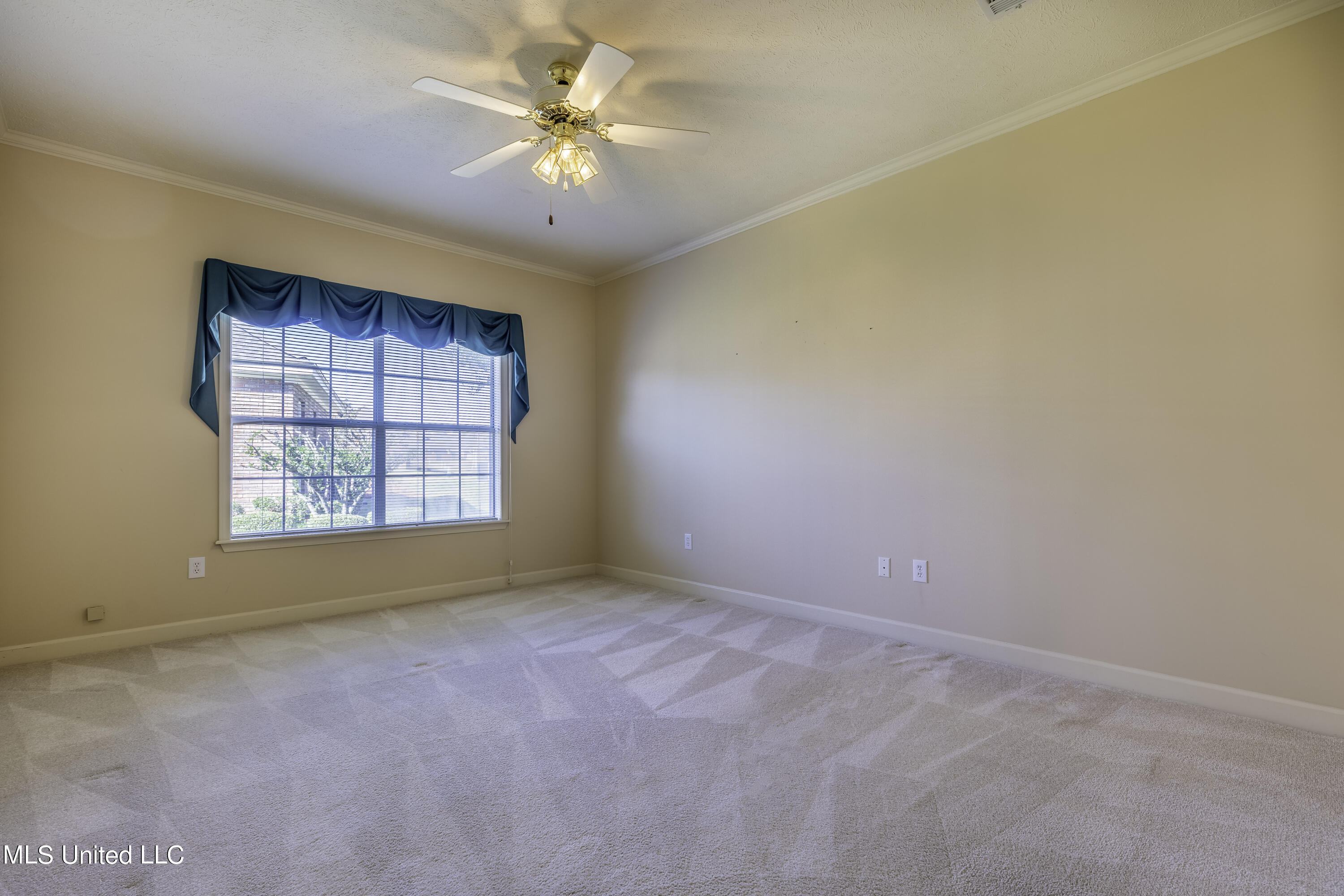 101 Springtree Drive Brandon, MS 39042 - Photo 11 of 12 7H8A2380-HDR-Edit
