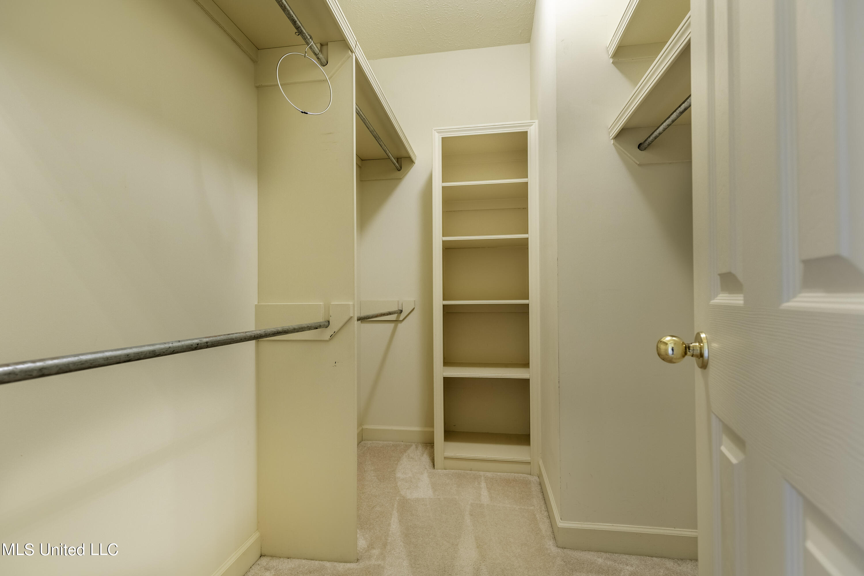 101 Springtree Drive Brandon, MS 39042 - Photo 12 of 12 7H8A2362-HDR-Edit