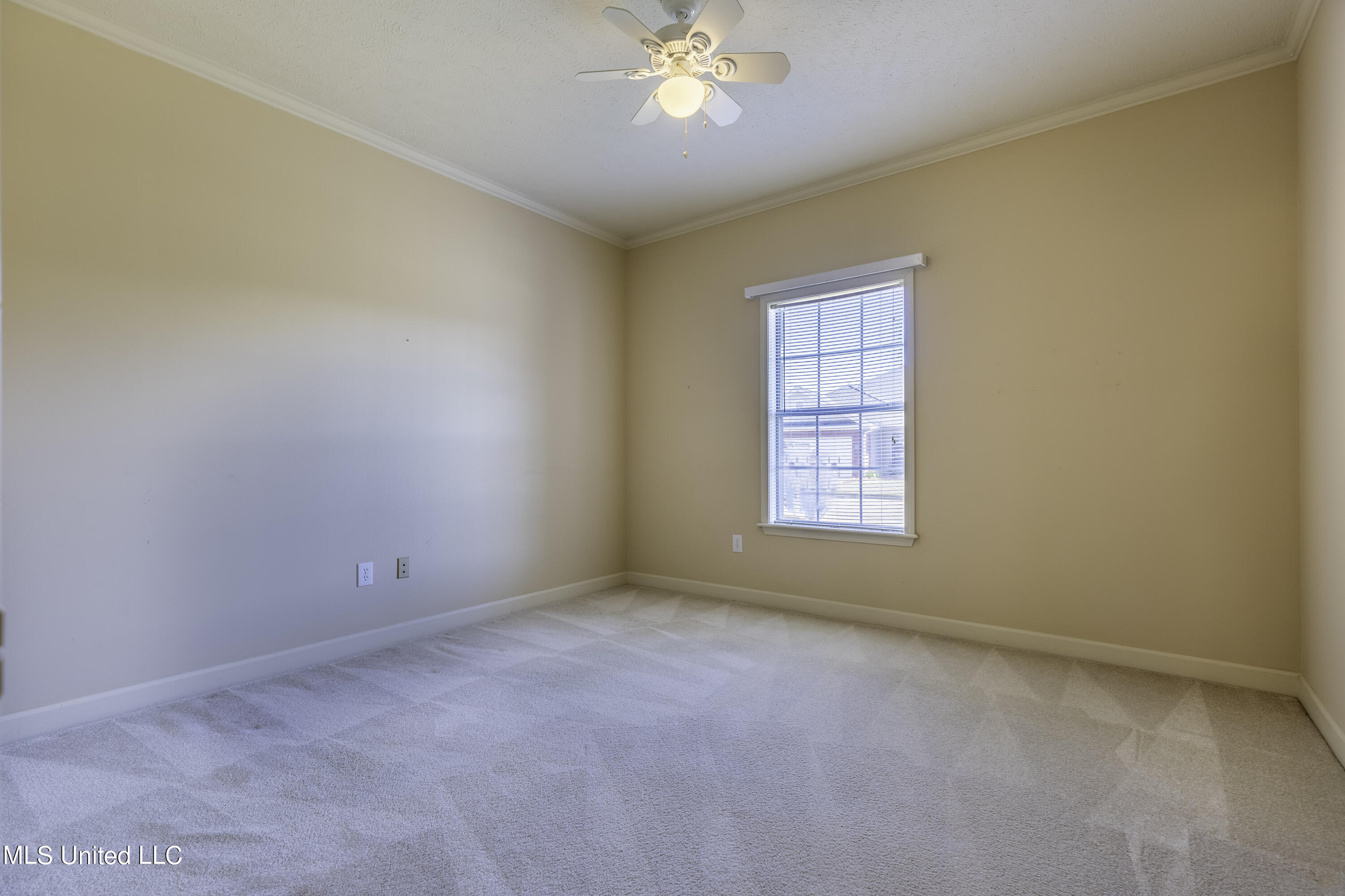 101 Springtree Drive Brandon, MS 39042 - Photo 9 of 12 7H8A2371-HDR-Edit