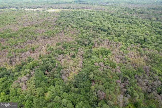 a view of an outdoor space and a yard