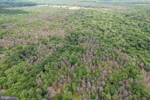 a view of a yard with an outdoor space