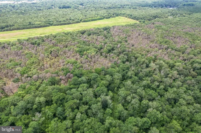 a view of a field of grass and trees