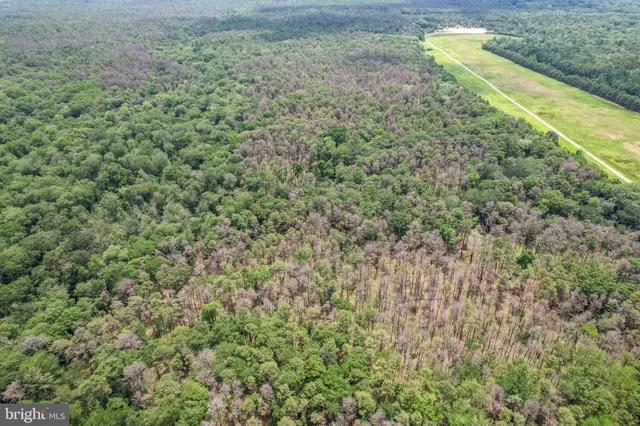 a view of a field with an outdoor space