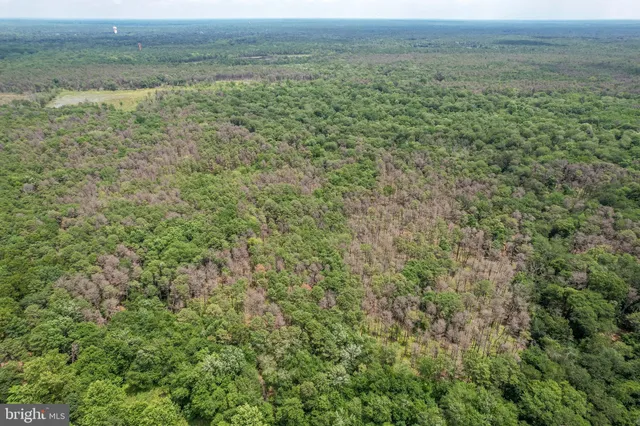 $900,000 | 559 Tomlinson Mill Road, Marlton, NJ 08053