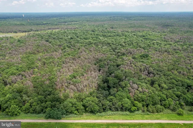 $900,000 | 559 Tomlinson Mill Road, Marlton, NJ 08053