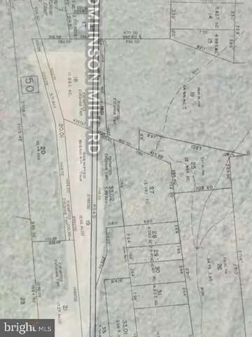 a view of a big yard with plants and large trees