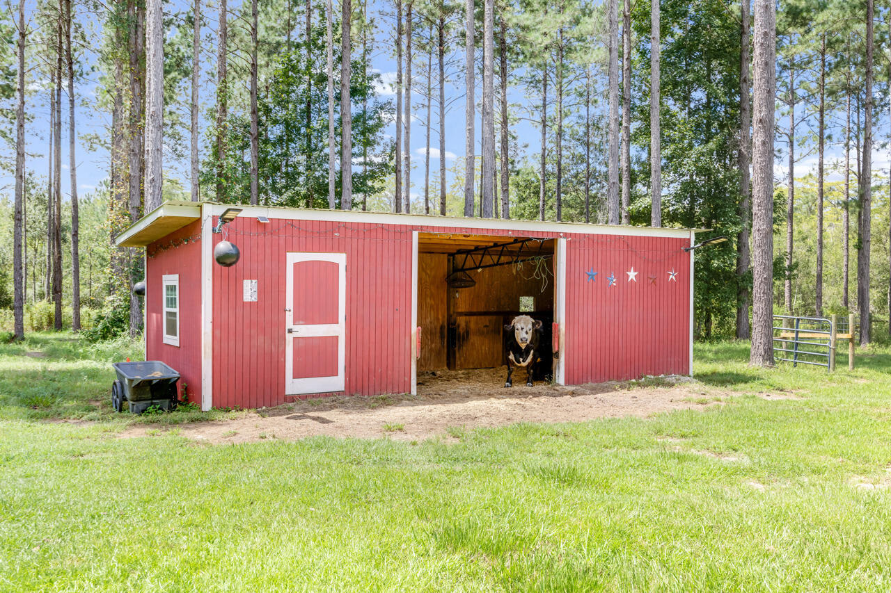 2480 Holmestead Road Bonifay, FL 32425 - Photo 4 of 67 63-64